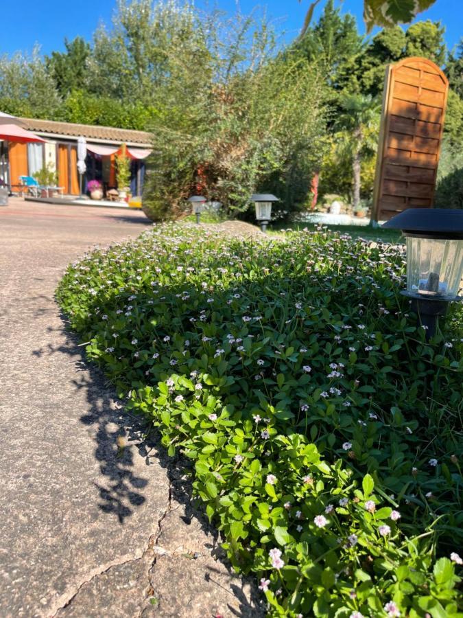 Mas De La Butte Blanche Bed & Breakfast Orgon ภายนอก รูปภาพ